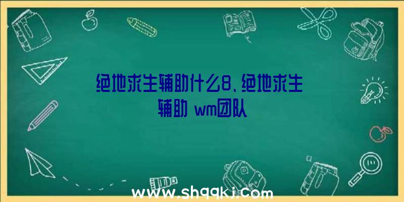 绝地求生辅助什么8、绝地求生